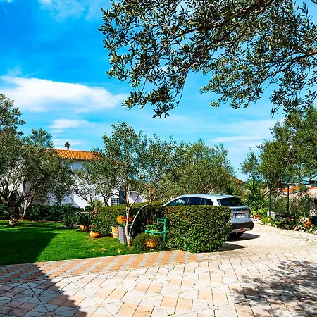 Mladenka شقة بروداريكا